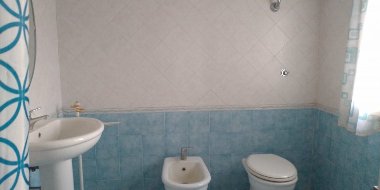 P_20250228_171740_vHDR_Auto