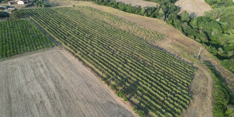 DJI_0015