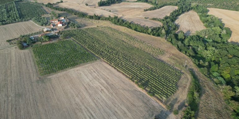 DJI_0016