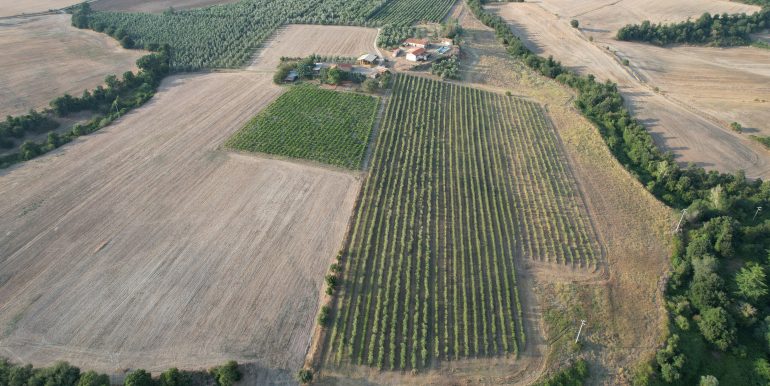 DJI_0017