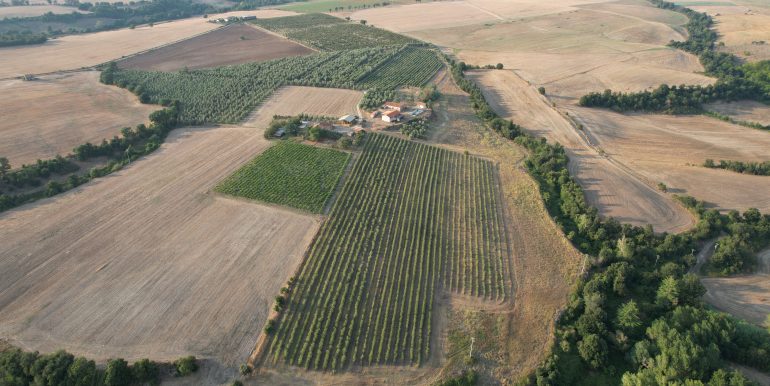 DJI_0039