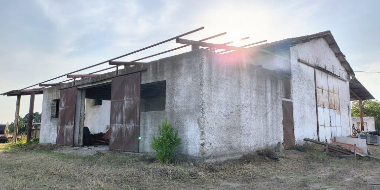 IMG_20250820_182009712_HDR_AE(1)