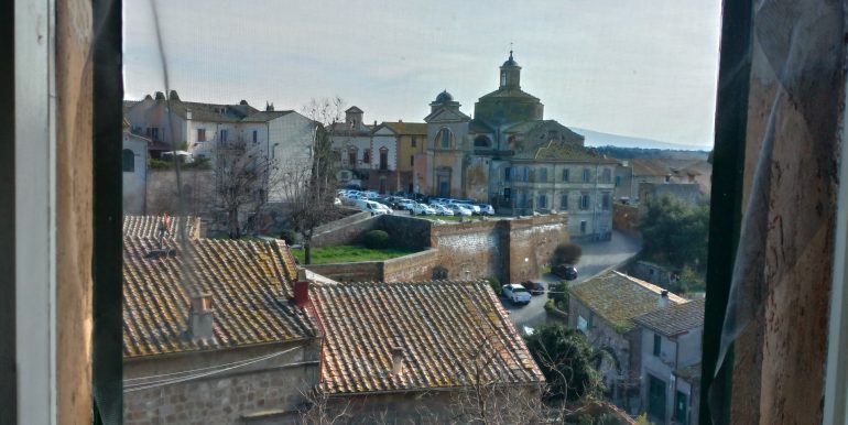 P_20230209_113409_vHDR_Auto_HP