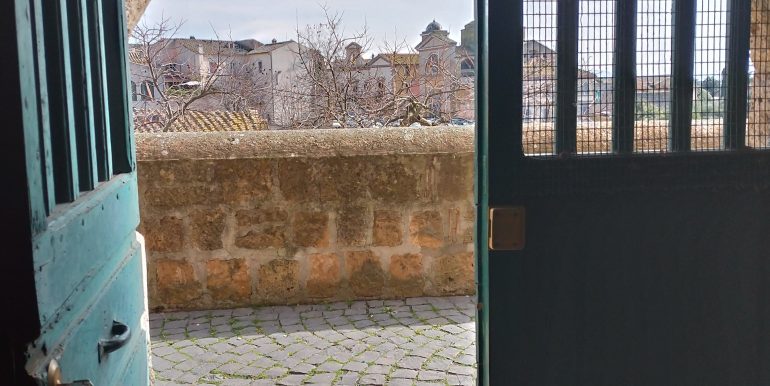 P_20230209_114457_vHDR_Auto_HP