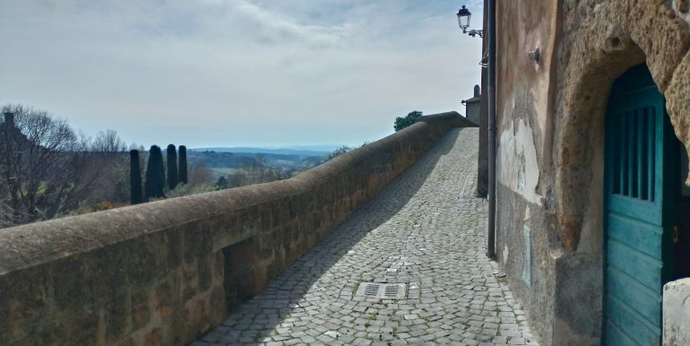 P_20230209_114541_vHDR_Auto_HP