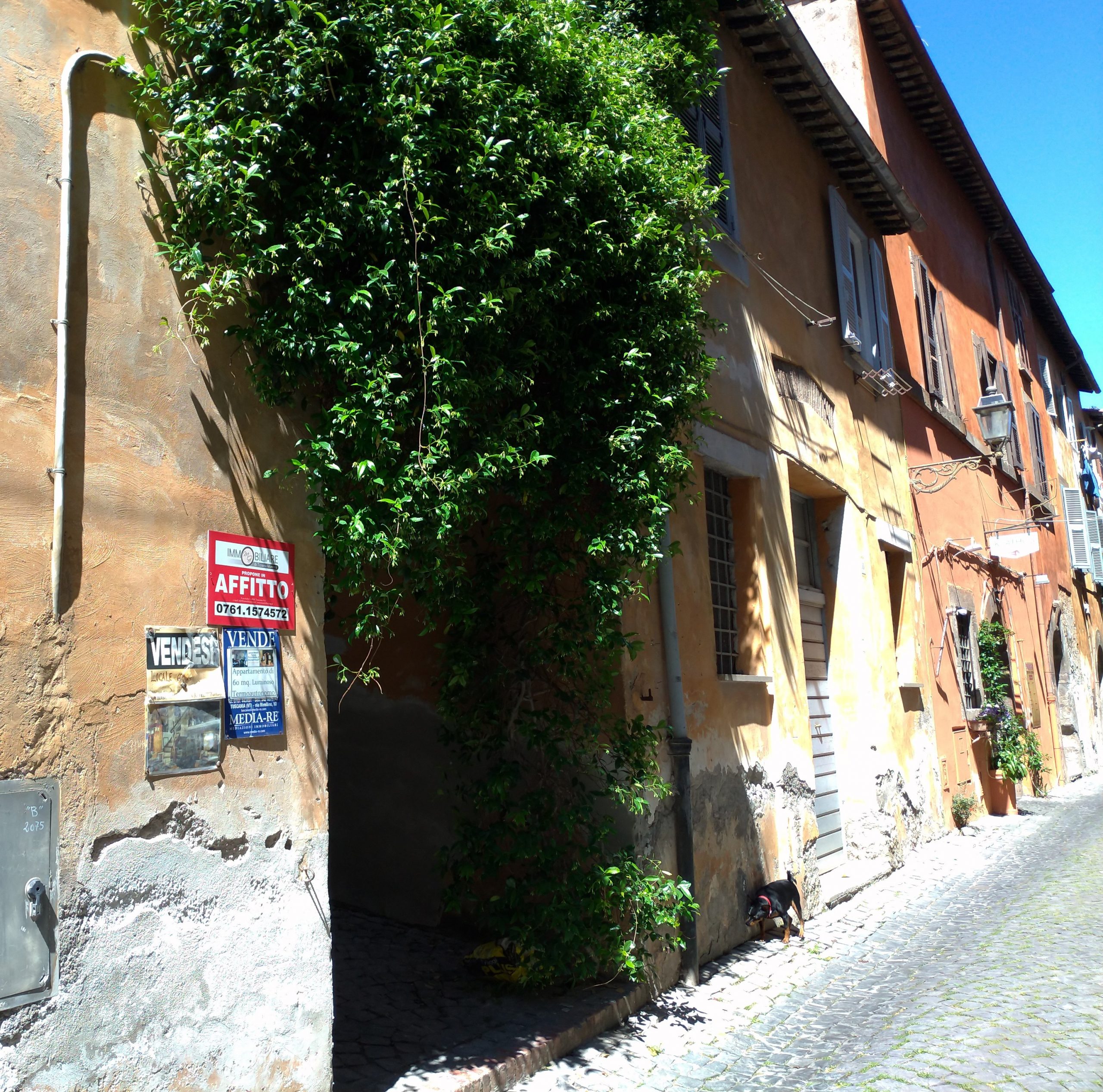 Via della Rocca, 35, Tuscania
