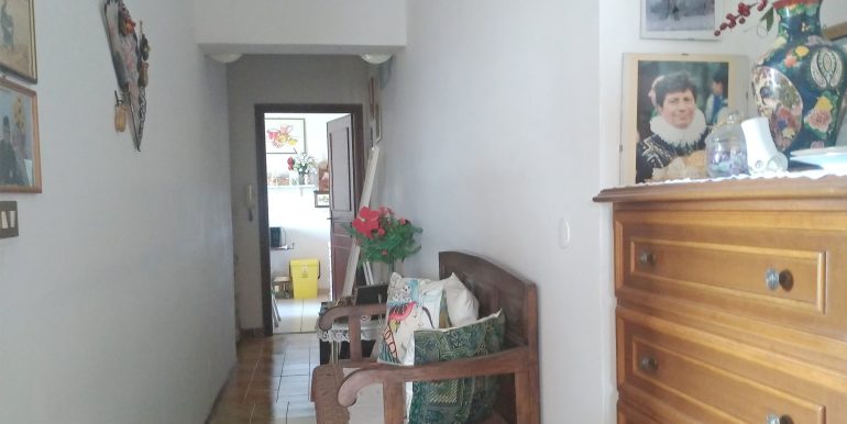 P_20240420_113201_vHDR_Auto