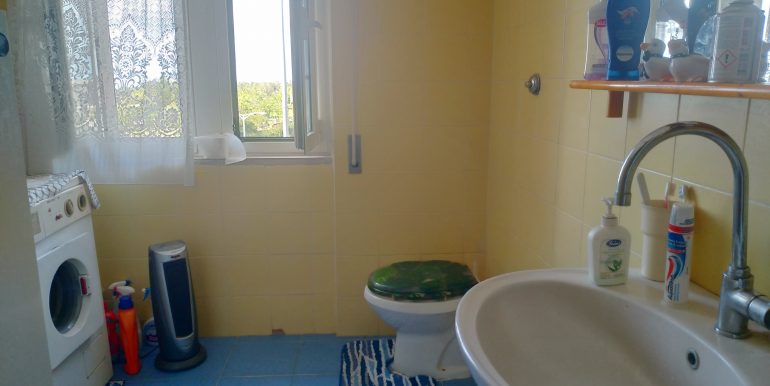 P_20240420_113329_vHDR_Auto_HP