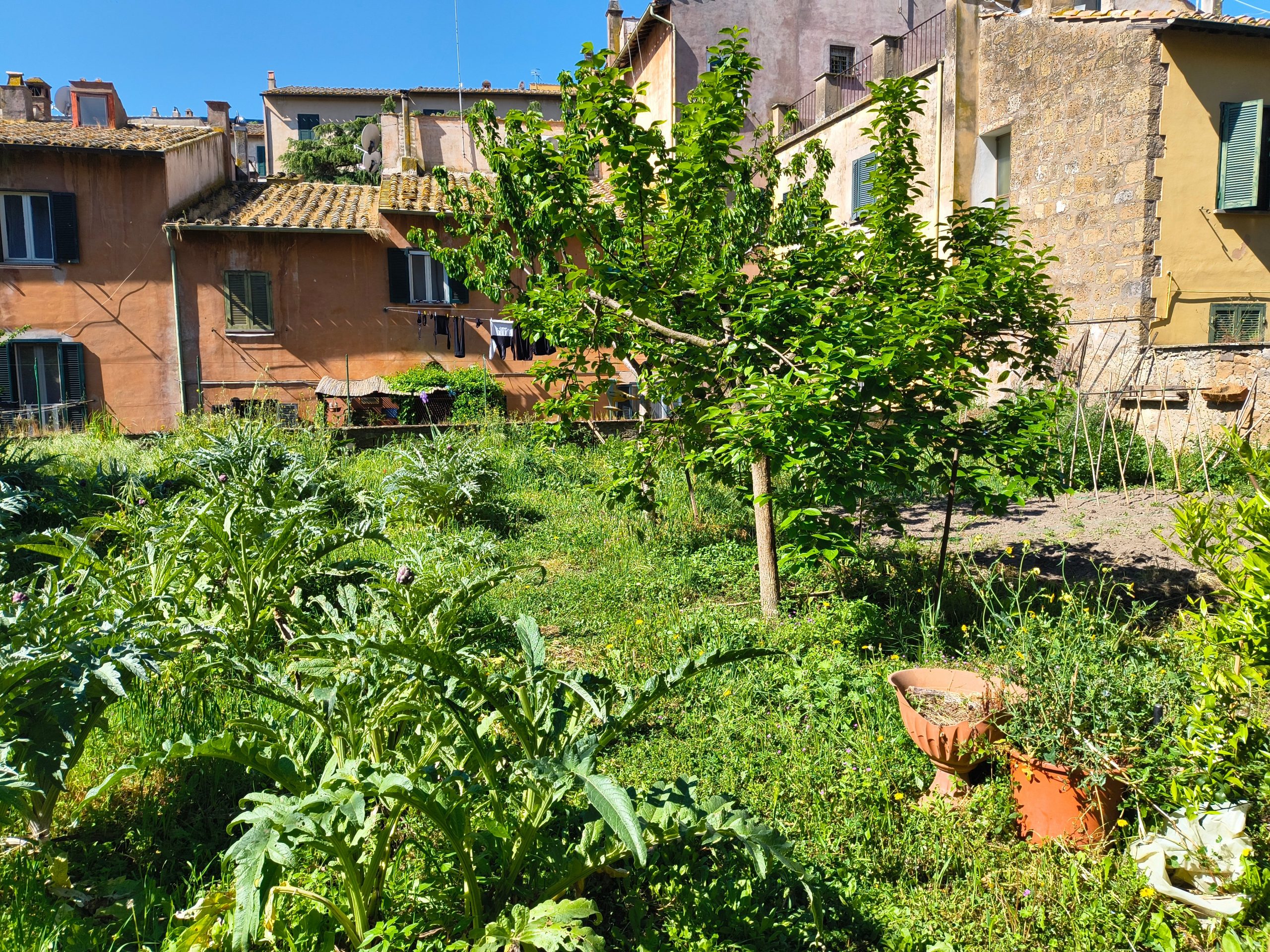 Via Cavour 36, Tuscania