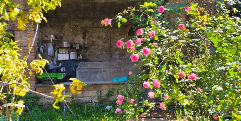 IMG_20260423_104336646