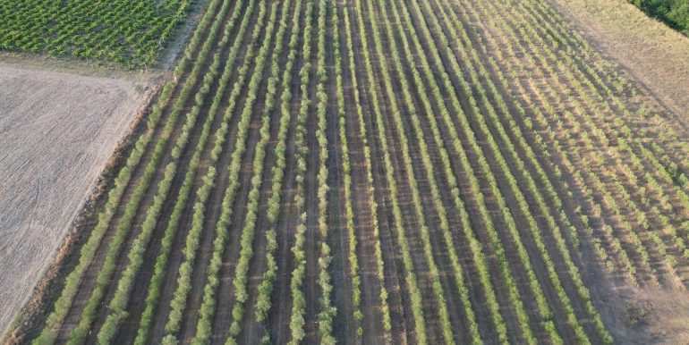 DJI_0020