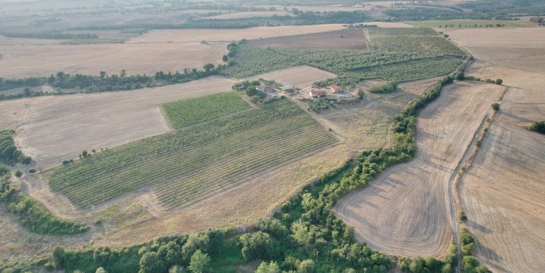DJI_0037