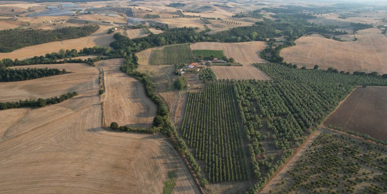 DJI_0046