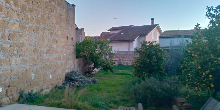 P_20231216_164942_vHDR_Auto_HP